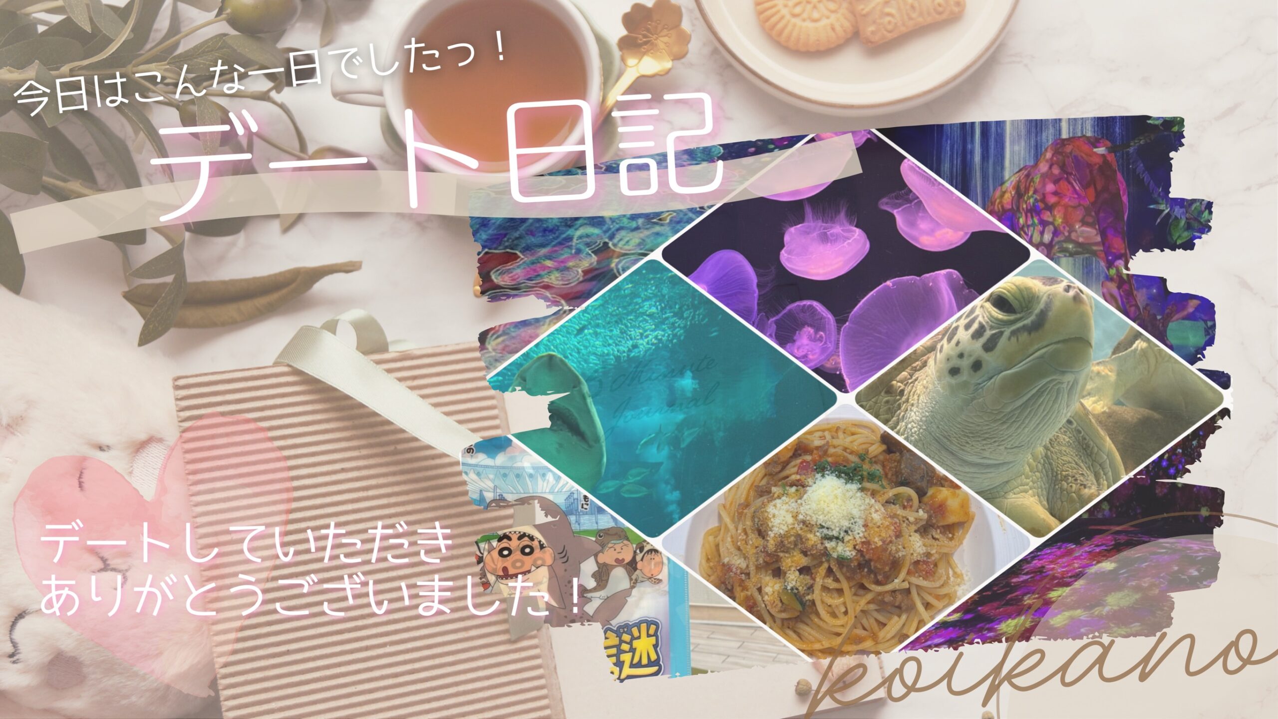 【海と光に癒される🐠✨海ノ中道水族館＆チームラボ満喫デート】