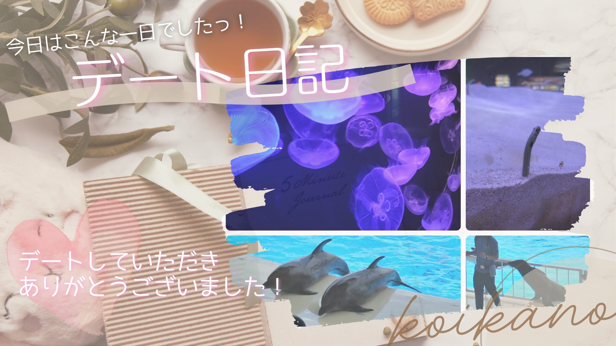 【マリンワールドデート♡海の生き物に癒される特別な一日】
